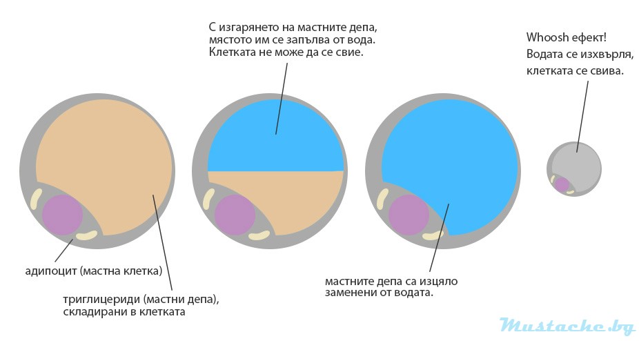 Whoosh ефектът или как да свалим килограмите безпроблемно?