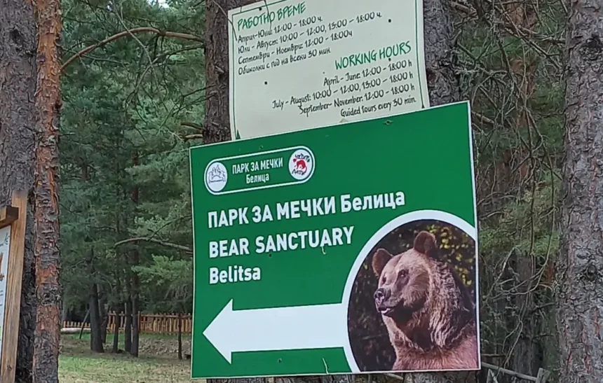 Един почивен ден, изпълнен с мечки и веселие